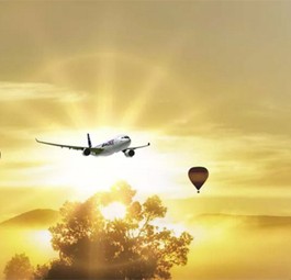 Flugzeug, Sonne, Ballons: So inszeniert sich Air Hollandia auf ihrer Webseite.