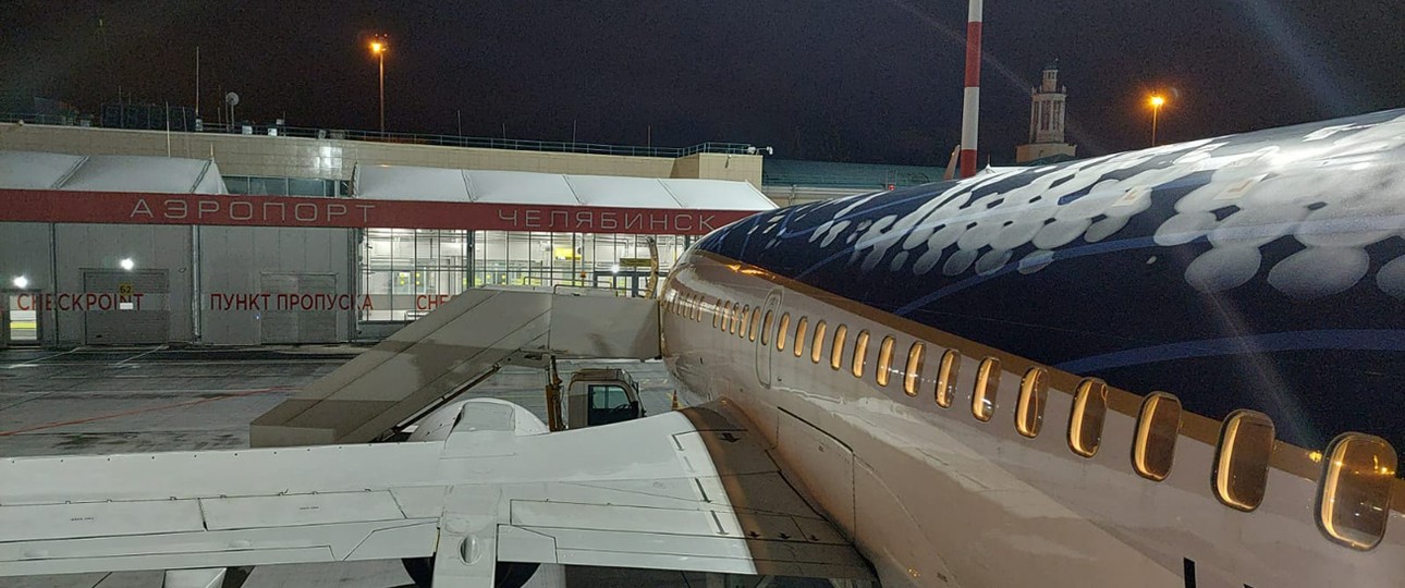 In dieser Boeing 737-500 reisten die Tiere und die menschlichen Begleiter.