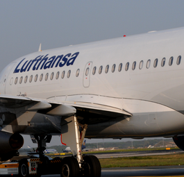 D-AIBA: Dieser Airbus A319 von Lufthansa musste nach dem Vogelschlag ausweichen.