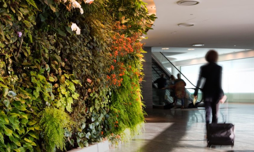 Passagierin: Wer bei Qantas etwas für die Umwelt tut, erhält etwas zurück.