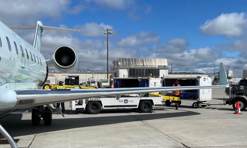 Flieger von Pivot Airlines: Die Fluggesellschaft rät von der Dominikanischen Republik ab.
