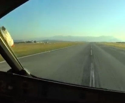 Vogelschlag nach der Landung