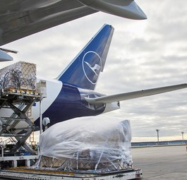 lufthansa cargo verladung