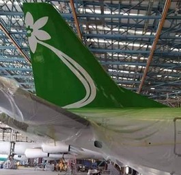 Flugzeug von Jasmin Airways: Lackiert ist der Flieger.