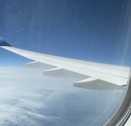 Blick aus dem Fenster: Discover Airlines fliegt mit AIrbus A330.