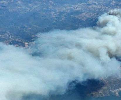 Waldbrand aus sicherer Distanz