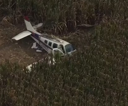 Die abgestürzte Beechcraft im Maisfeld: Alle vier Personen haben überlebt.