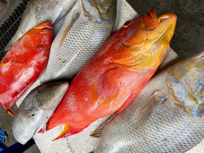 Frische Fische auf dem Sir Selwyn Selwyn-Clarke Market in Victoria