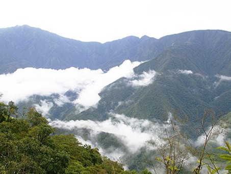 Los Yungas in Bolivien: Ecojet soll die wichtigsten Ziele des Landes anfliegen.