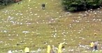 Er brachte den Jet aus Rache zum Absturz