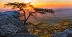 Sonnenuntergang im Cheaha Mountain State Park in Alabama