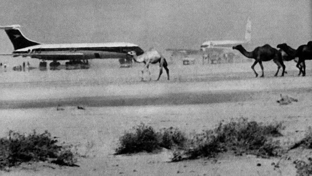 Auf dem Dawson's Airfield wurden alle Insassen freigelassen, die drei Flugzeuge aber gesprengt.