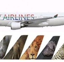 So sollen die Flieger von Joly aussehen - und Afrika widerspiegeln.