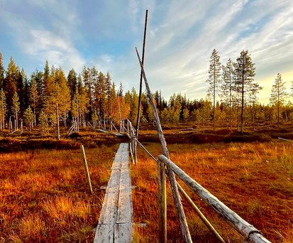 Jauhojaervi See im Herbst mit Cranberrys