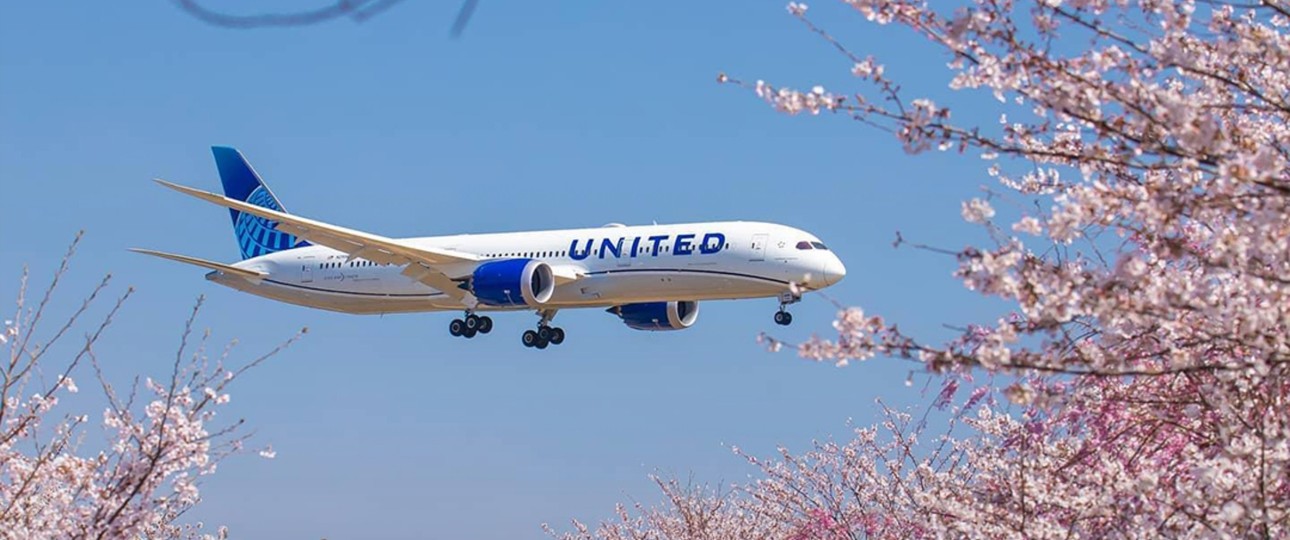 Ein Dreamliner von United: Die Airline will bis 2030 die gesamte Boeing 767-Flotte durch Dreamliner ersetzen.