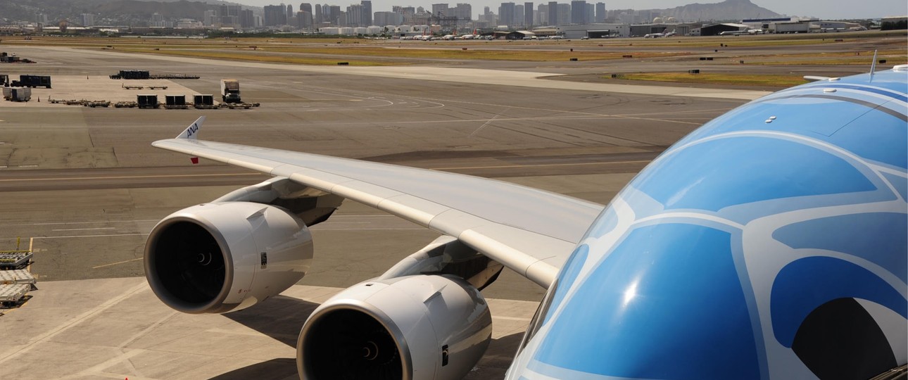 Flying Honu nennt ANA ihre drei Airbus A380. Hon ist Hawaiianisch und heißt Meeresschildkröte.