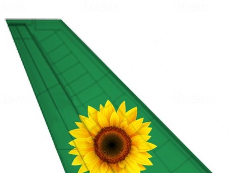 hidden-disabilities-sunflower-unsichtbare-behinderungen-ticker-sunflower