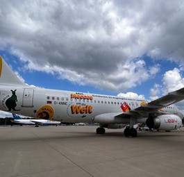 Airbus A320 von Leav Aviation: Das Flugzeug wird bis Ende September zum McDonalds-Flugzeug.