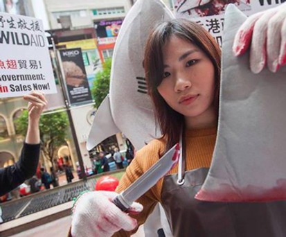 Tierschützer protestieren gegen die Verwendung von Haiflossen: Der Fischfang ist nicht nachhaltig.