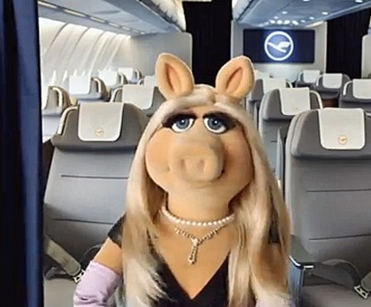 Miss Piggy: Großer Auftritt an Bord.
