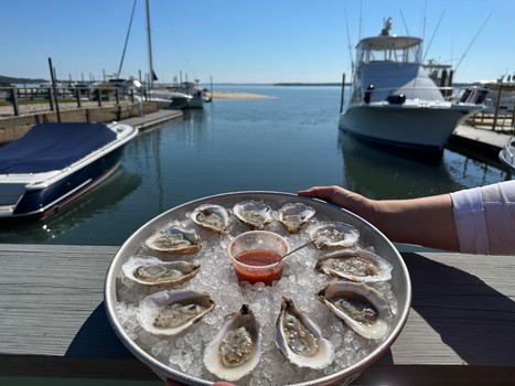 Long Island feiert die Auster