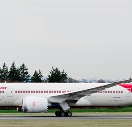 Dreamliner von Air India: Die Fluglinie hat auch Dreamliner geparkt.