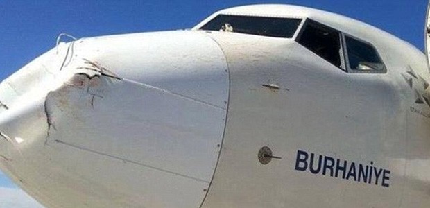 Die Nasen der Flieger sind extra aus einem weicheren Verbundmaterial gebaut.