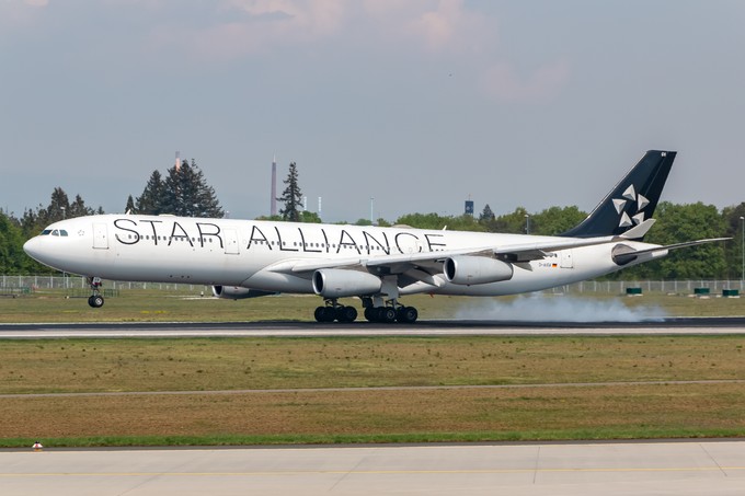 Lufthansas A340-300: Früher trug auch die D-AIFF eine Star-Alliance-Lackierung.