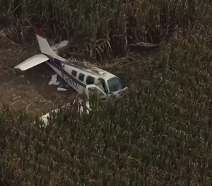 Die abgestürzte Beechcraft im Maisfeld: Alle vier Personen haben überlebt.