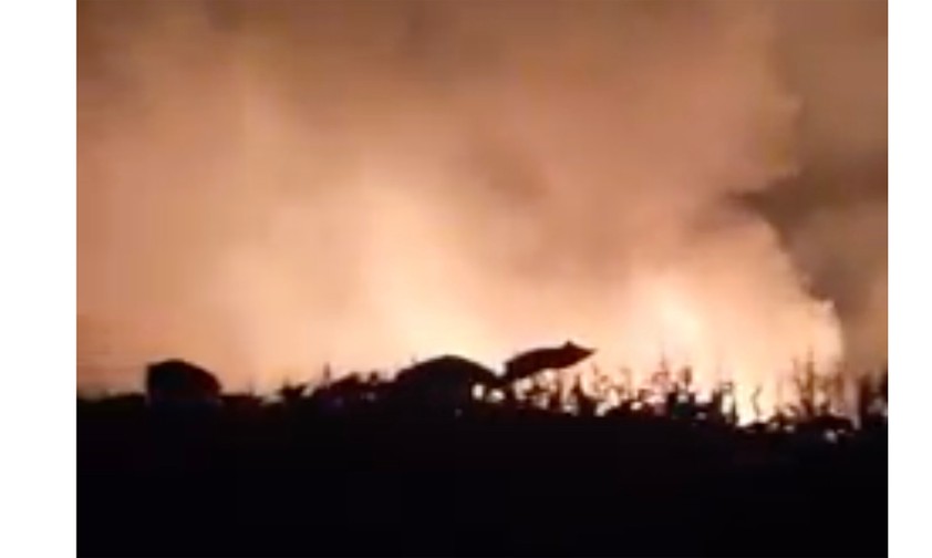 Brand: So sah es an der Unfallstelle aus.