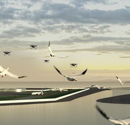 Drohnen am Flughafen: Sie sollen helfen, Vogelschlag zu verhindern.