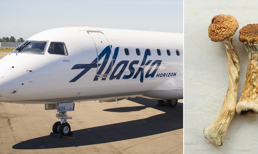 Jet von Horizon Air und psychoaktive Pilze: Gefährlicher Konsum.