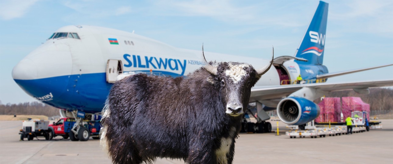 Yak vor Boeing 747-400 F von Silk Way West (Montage): 116 an Bord.