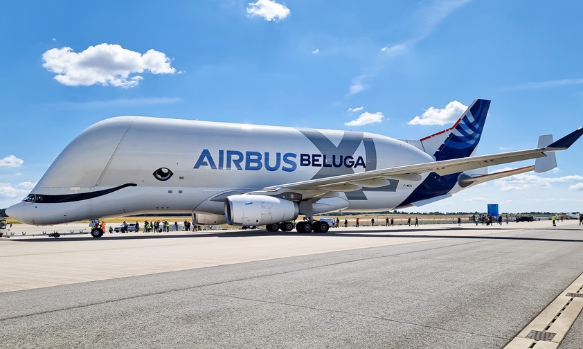 Beluga XL: Der Flieger mit dem riesigen Rumpf transportiert für Airbus Flugzeugteile.