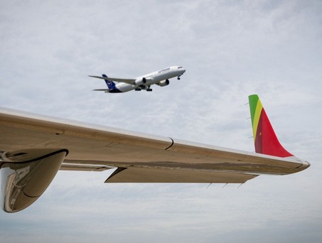 Winglet von Tap Air Portugal: Portugal wird 44,9 Prozent der Anteile an Lufthansa Group verkaufen.