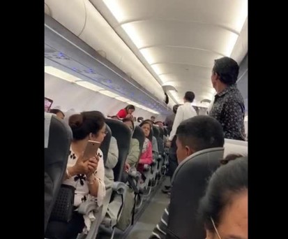 Auch Tauben wollen mal fliegen