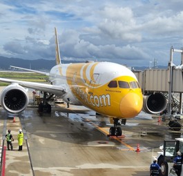 Boeing 787 von Scoot am Gate: Der Mann wurde nach der Ankunft verhaftet.