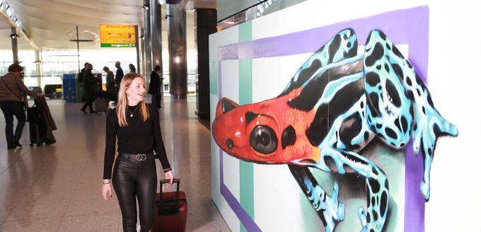 «Anamorphic Frog» von Odeith im Terminal 4. Der portugiesische Graffiti-Künstler hat eine Schwäche für dreidimensionale Kunst.