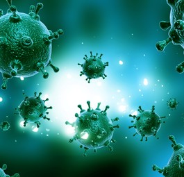 Influenza-Virus: Auf der Pilgerreise stecken sich viele an.