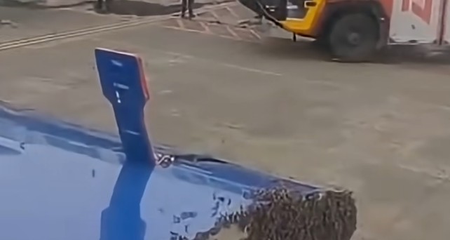 Bienenschwarm an der Frachttür: Der Flug konnte am 7. Juli erst eine Stunde später starten.