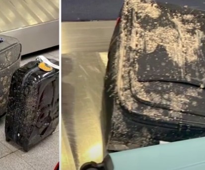 Bilder von Koffern aus dem Virgin-Flug nach New York: Die Gepäckstücke sehen so aus, als seien sie mit menschlichen Ausscheidungen überzogen.