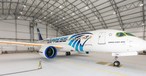 Erstmals in voller Pracht zu sehen: ein Airbus A220-300 von Egypt Air.