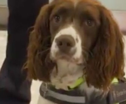 Ein Tag mit Heathrows fleißigstem Mitarbeiter