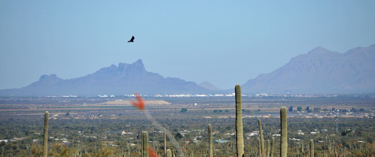 Pinal Air Park in der Mojavewüste: Wühltisch für Frachtairlines.