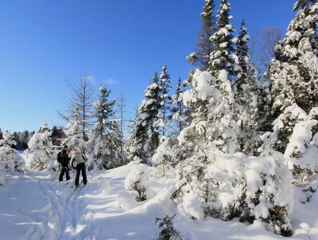 Langlaufparadies Algonquin Nationalpark