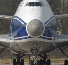 Boeing 747 von Air Bridge Cargo: Schweine an Bord.