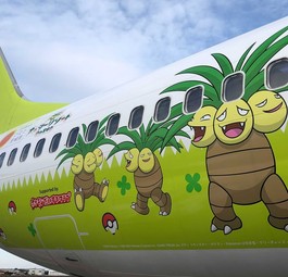 Weitere 737: Auch Solaseed Air bemalte einen Flieger.
