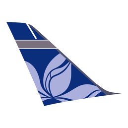 ticker southern airways express-01jpg