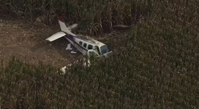 Die abgestürzte Beechcraft im Maisfeld: Alle vier Personen haben überlebt.
