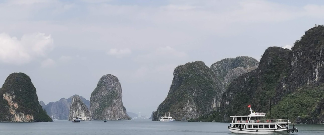 Mit tropischem Wald bedeckte Kalkberge in der Halong Bucht